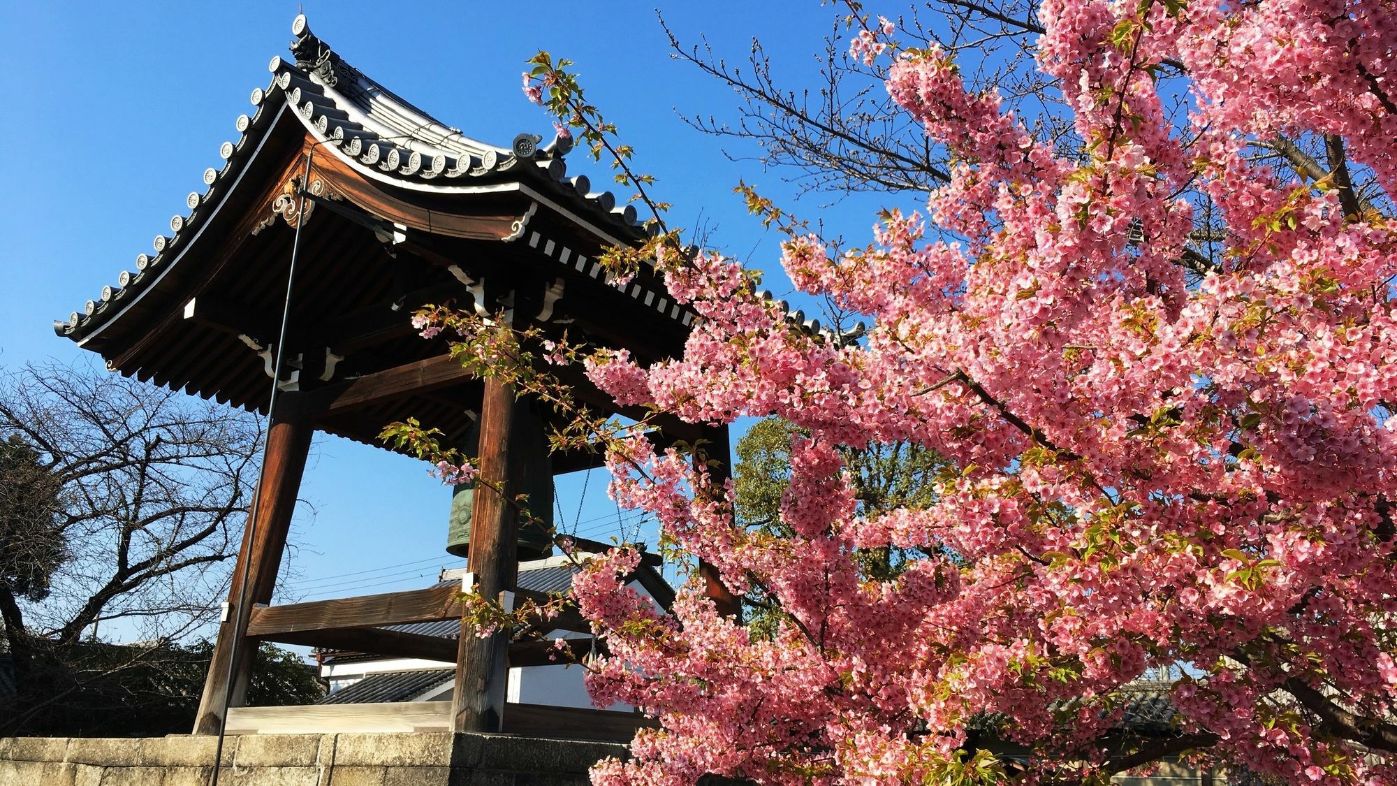 Stay Sakura Kyoto Toji South I Luaran gambar