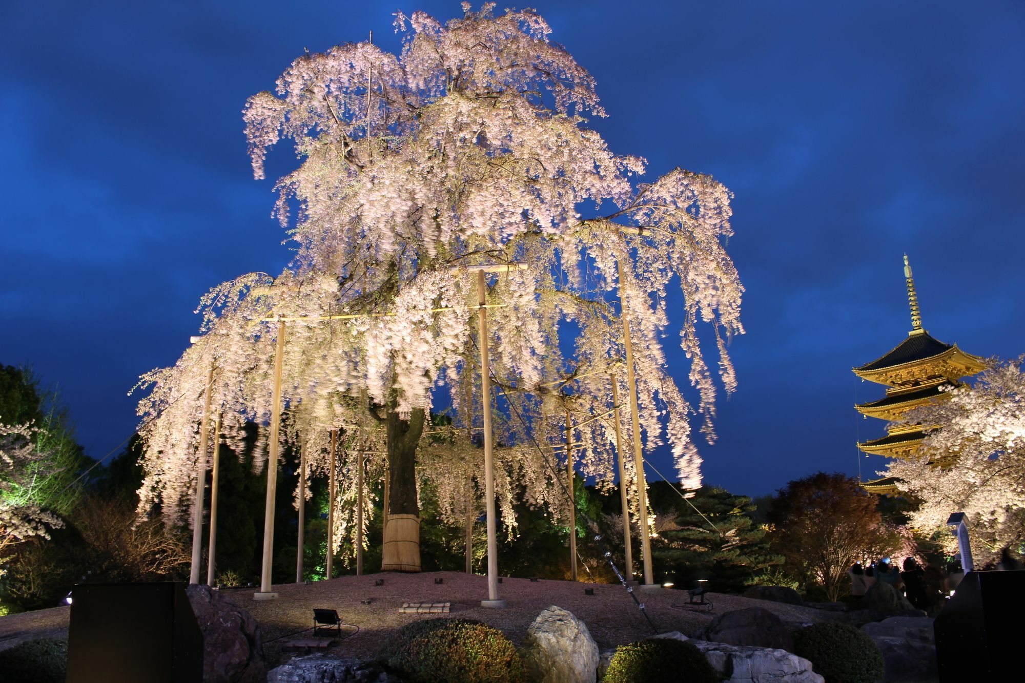 Stay Sakura Kyoto Toji South I Luaran gambar